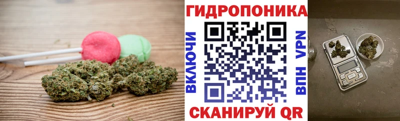 Купить закладки  Хвалынск  Cannafood конопля 