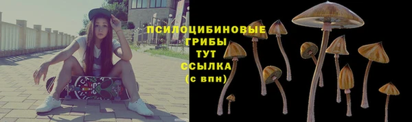 бошки Армянск